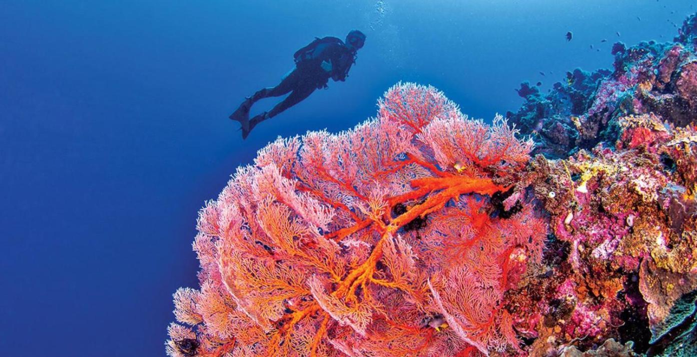 Pristine Paradise Dive Resort - Togean Islands, Una Una Pulau Unauna Exterior foto